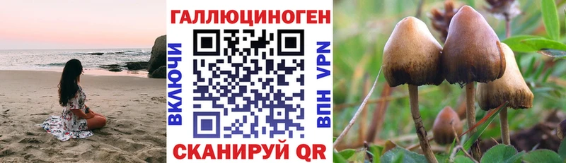 Галлюциногенные грибы GOLDEN TEACHER  гидра сайт  Порхов 
